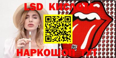 твердый Сланцы