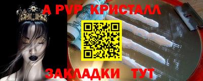 твердый Сланцы
